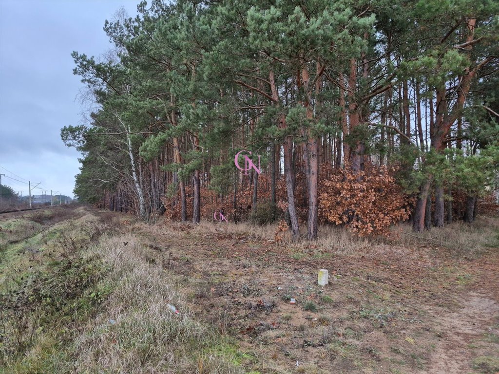 Działka inna na sprzedaż Odolion  3 738m2 Foto 6