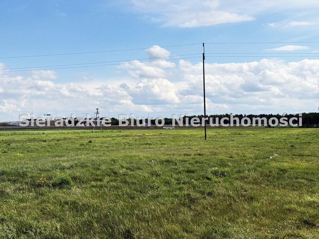 Zdjęcie 3