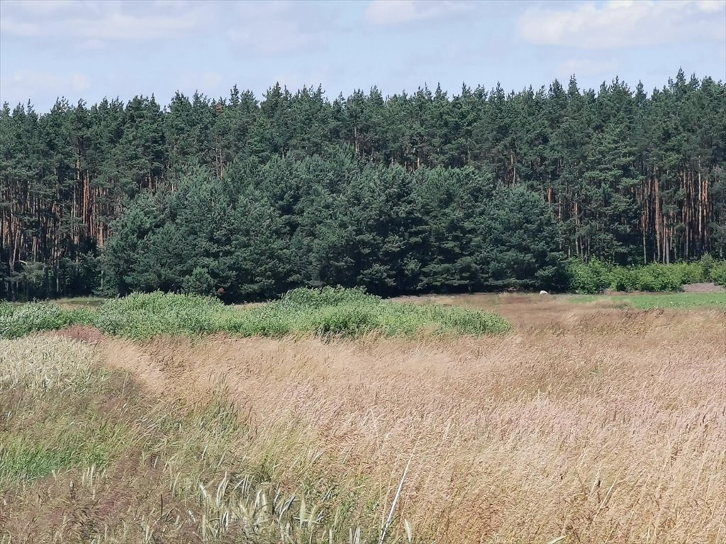 Działka rolna na sprzedaż Kleszczyna  27 800m2 Foto 16