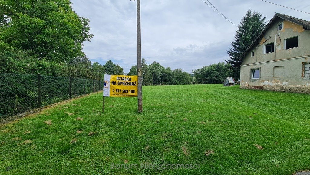 Działka budowlana na sprzedaż Trzebieszowice  2 900m2 Foto 3