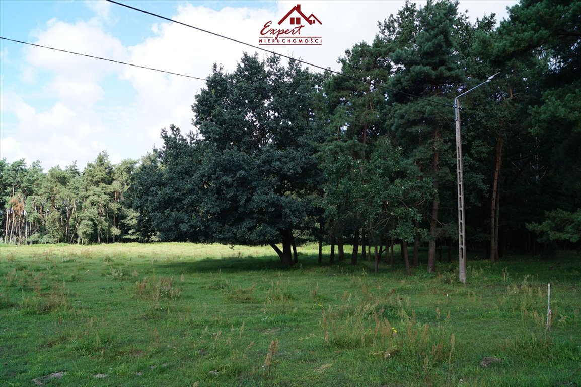 Działka budowlana na sprzedaż Wola Kamieńska  1 200m2 Foto 9