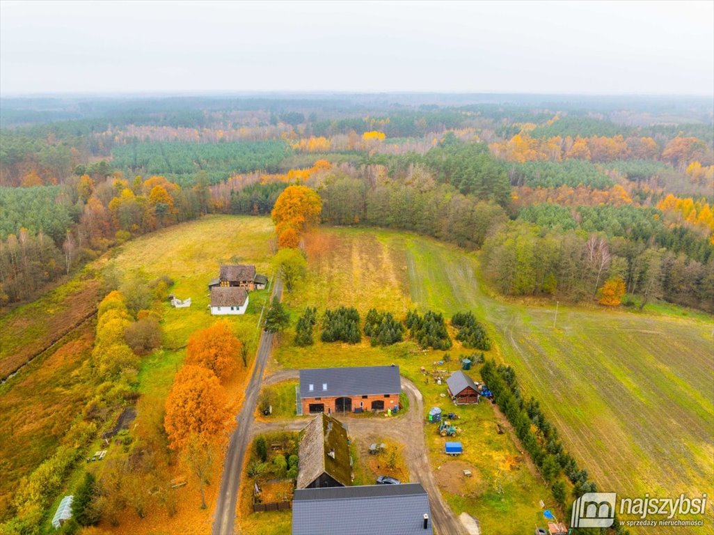 Działka budowlana na sprzedaż Węgorza, Wieś  1 500m2 Foto 15