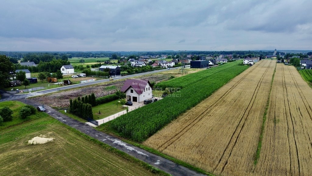 Działka budowlana na sprzedaż Paniówki, Skotnicka  2 500m2 Foto 10