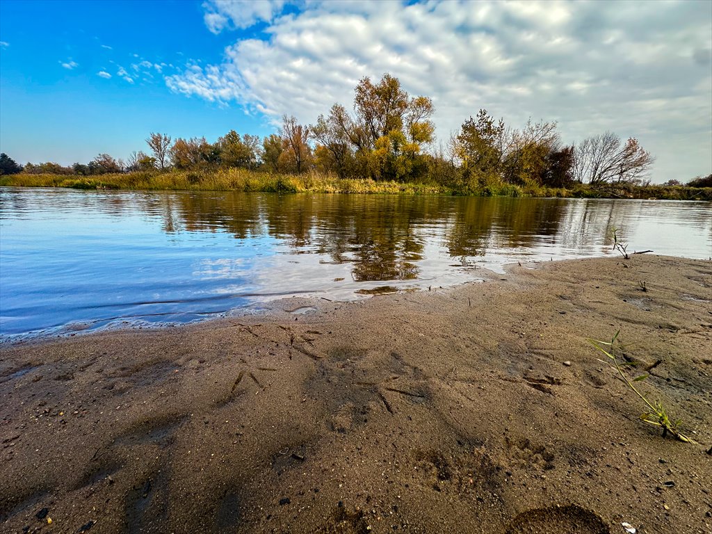 Działka budowlana na sprzedaż Pilica  1 500m2 Foto 8