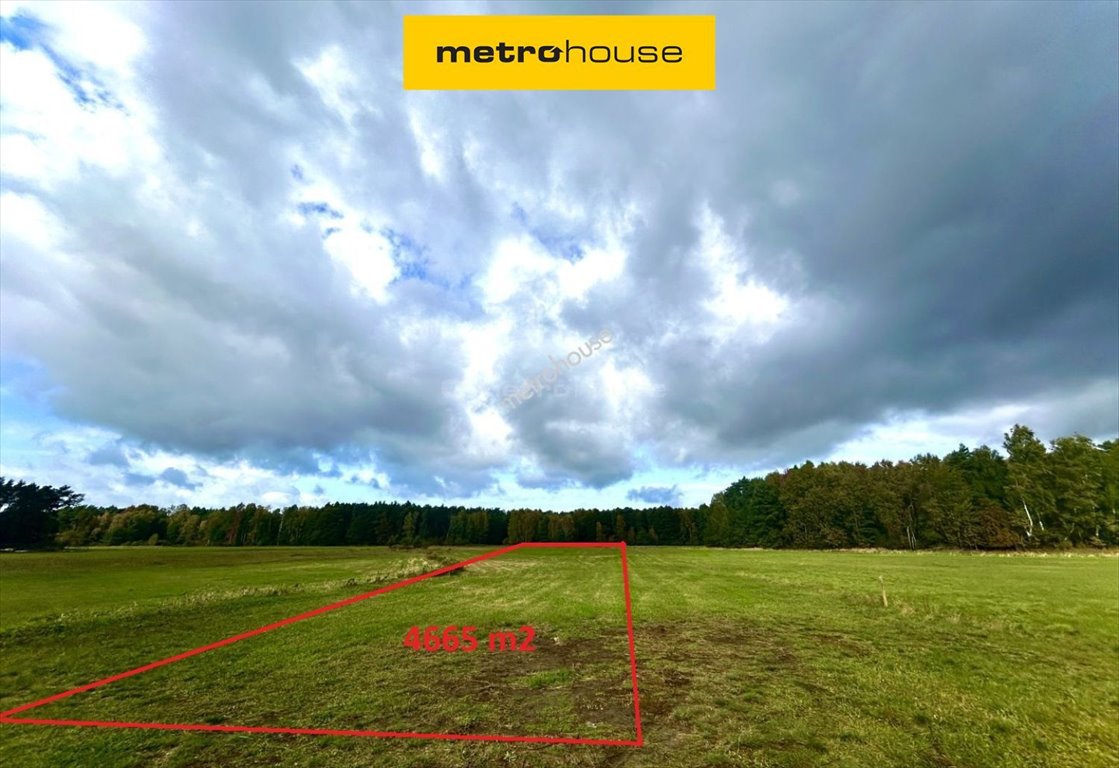 Działka rolna 4665 m² w Baryczy – spokojna okolica, dojazd utwardzony Barycz  4 665m2 Foto 1