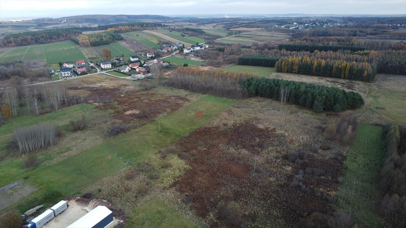 Działka budowlana na sprzedaż Łukowa  6 500m2 Foto 4