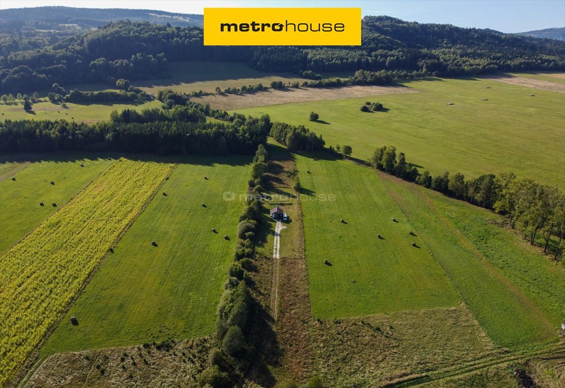Do sprzedania działka 7 800 m² z infrastrukturą i widokiem na Śnieżnik Różanka  7 800m2 Foto 1