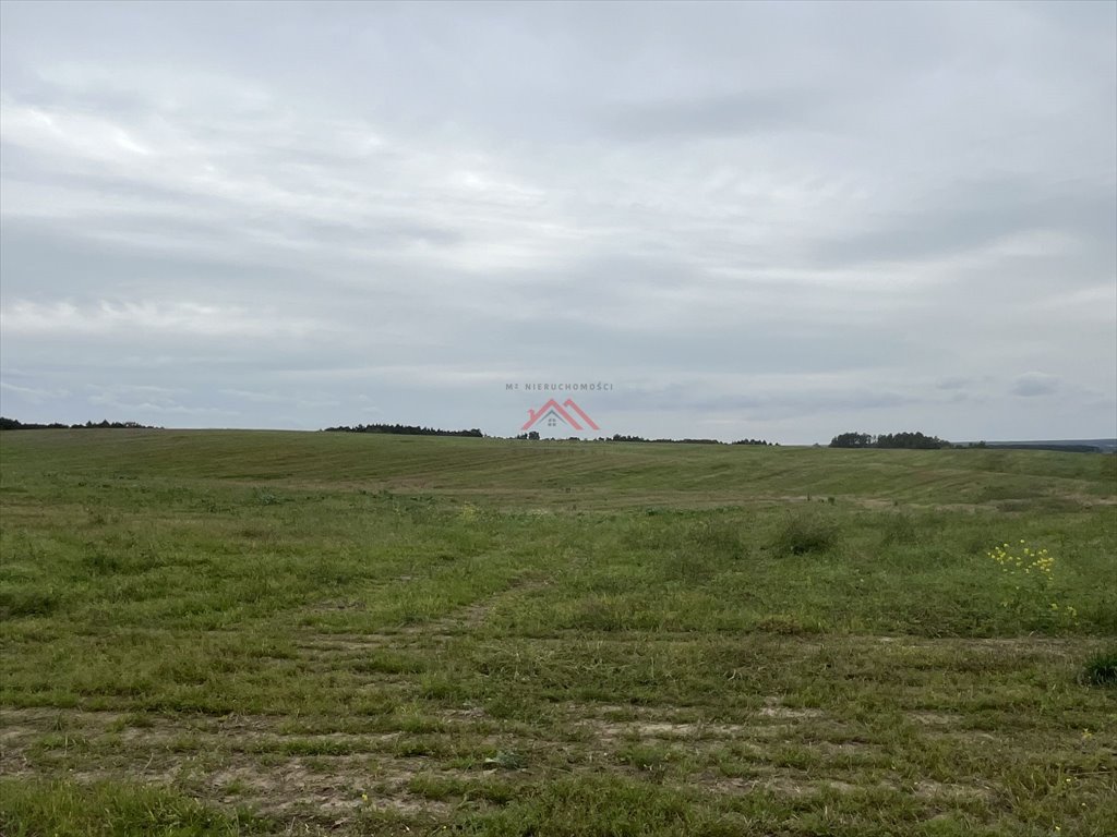 Działka rolna na sprzedaż Nawra  37 000m2 Foto 4