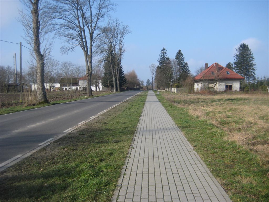 Działka budowlana na sprzedaż Głobino, Pogodna  13 800m2 Foto 11