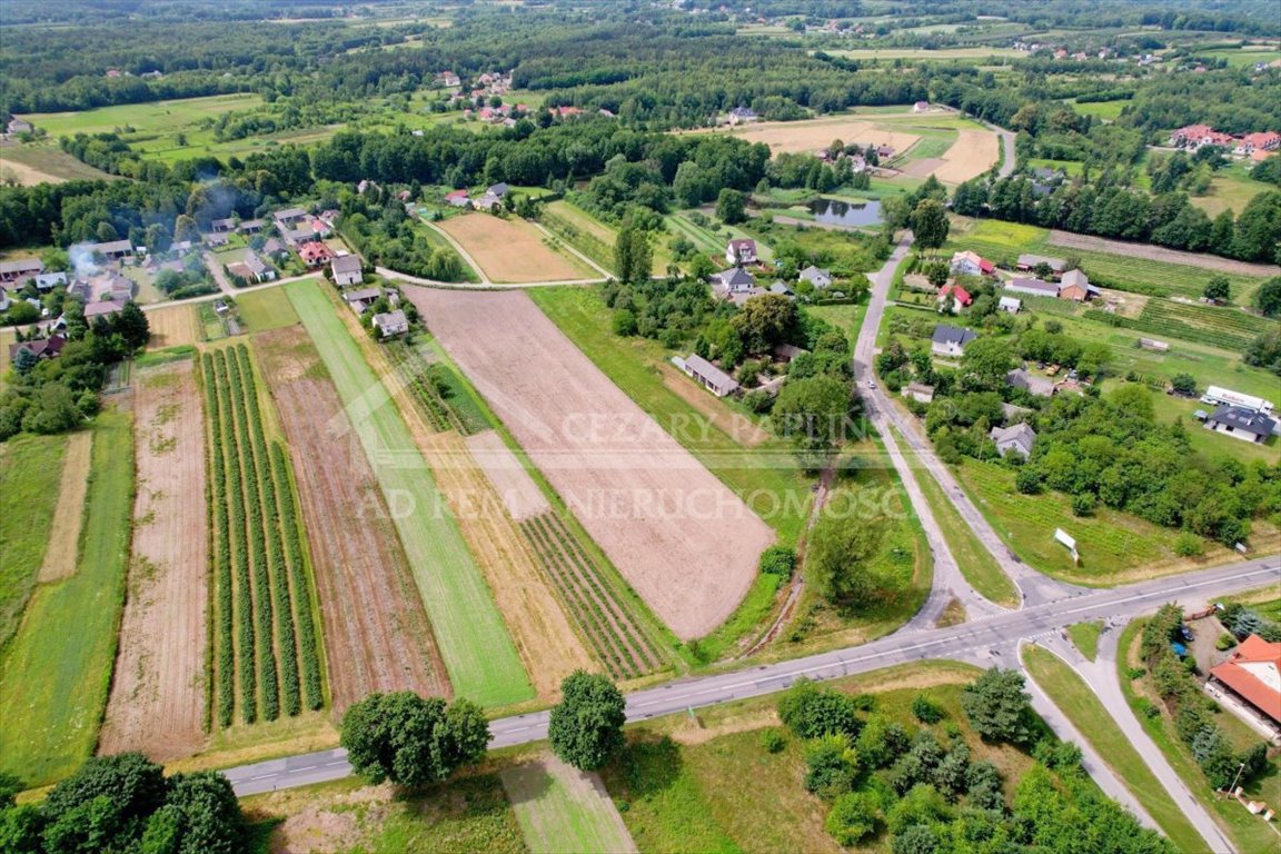 Działka inwestycyjna na sprzedaż Uściąż, Uściąż  10 500m2 Foto 4