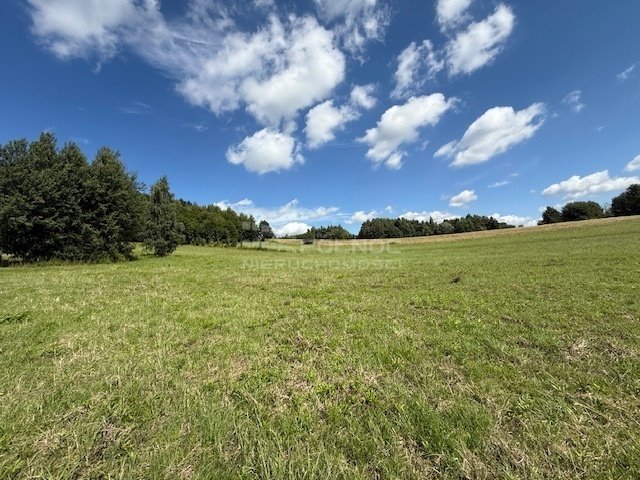 Działka leśna na sprzedaż Jerzmanowice  14 700m2 Foto 1