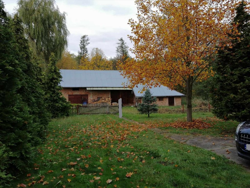 Działka siedliskowa na sprzedaż Padew Narodowa  4 341m2 Foto 1