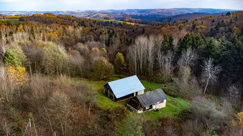 Dom na sprzedaż Borówki  80m2 Foto 2