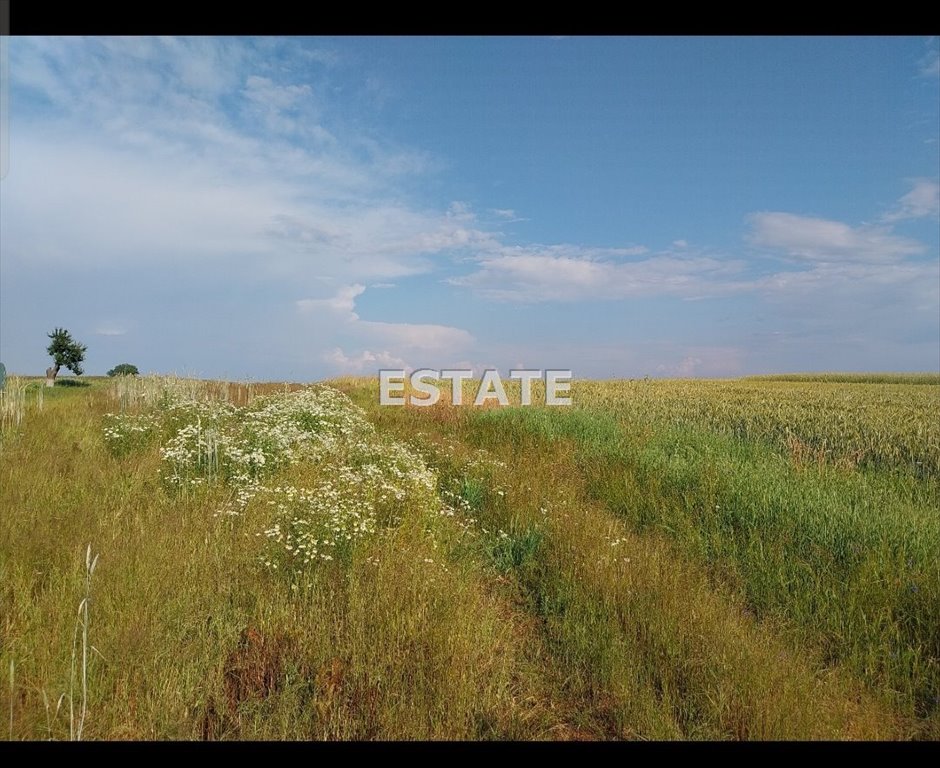 Działka inna na sprzedaż Brzeg  1 460m2 Foto 1