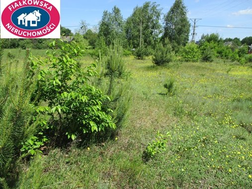 Działka budowlana na sprzedaż Długokąty  19 000m2 Foto 10