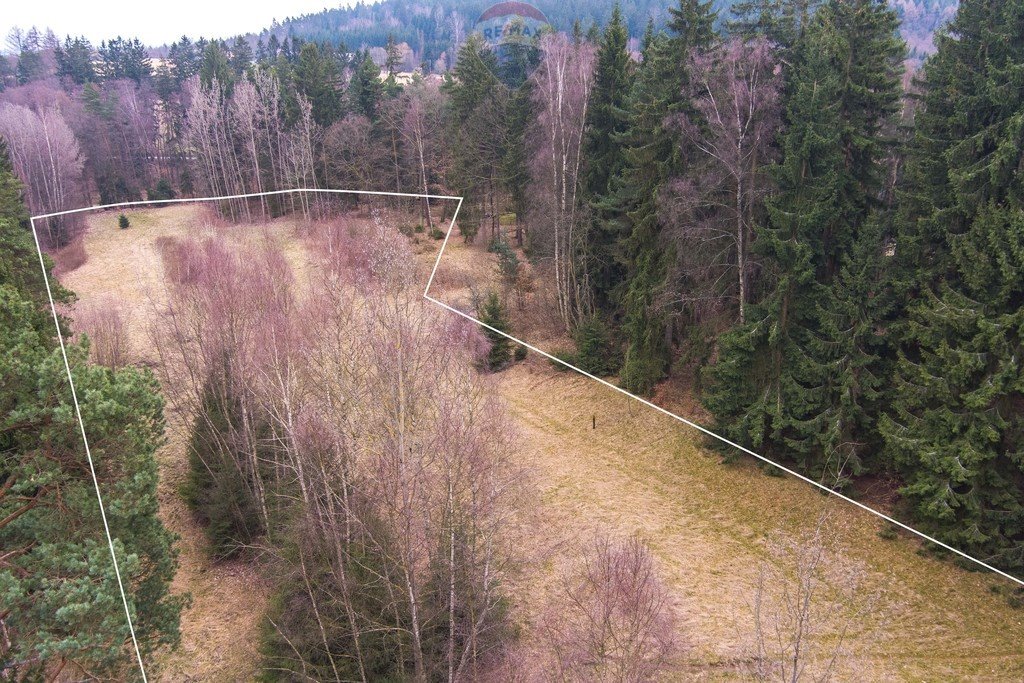 Działka rolna na sprzedaż Polanica-Zdrój, Wiejska  10 300m2 Foto 4