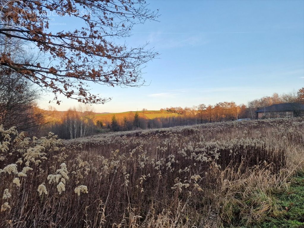 Działka budowlana na sprzedaż Gromnik  1 282m2 Foto 6