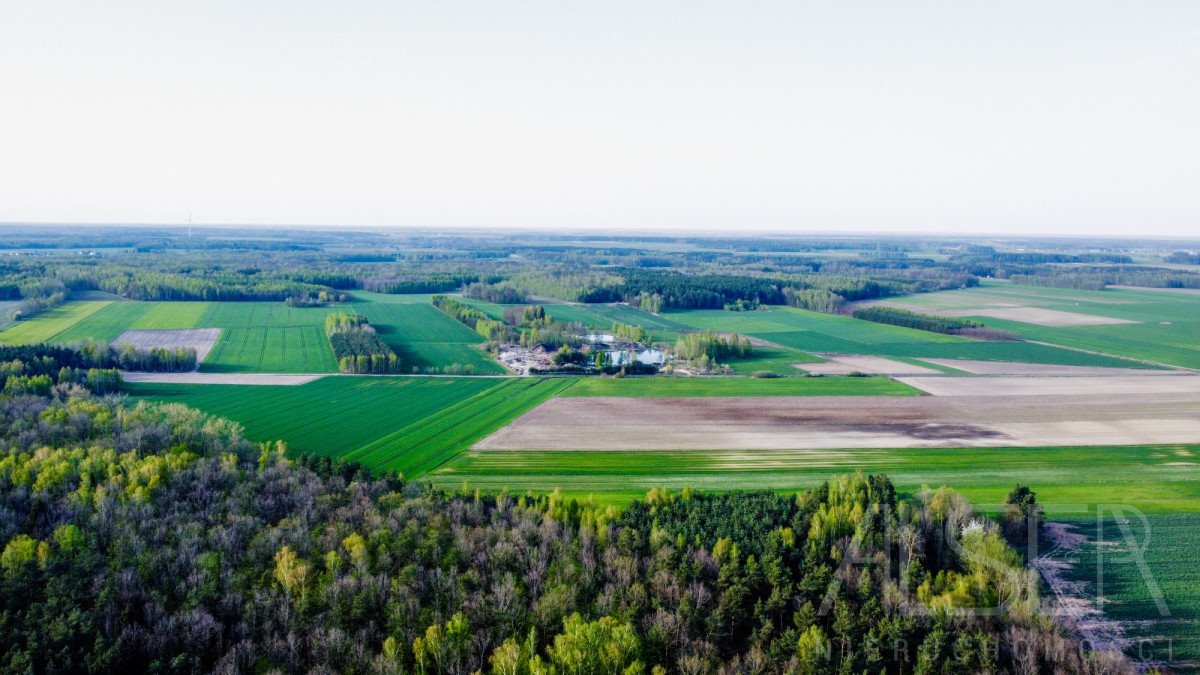 Dom na sprzedaż Rogów  120m2 Foto 11