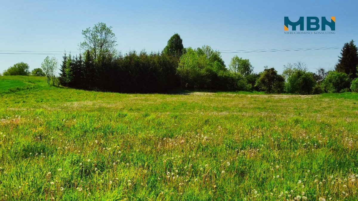 Działka rolna na sprzedaż Węgorzewo, Rudziszki  21 800m2 Foto 11