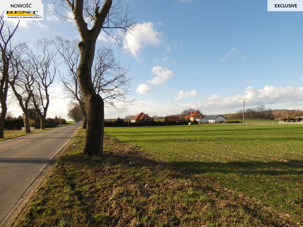 Działka Budno 906 m² pod dom lub inwestycję, blisko Goleniowa Budno  906m2 Foto 1