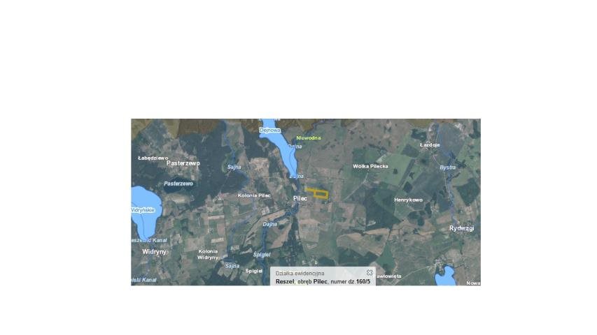 Działka rolna 58 100 m² w Pilecu z dobrym dojazdem Pilec  58 100m2 Foto 1