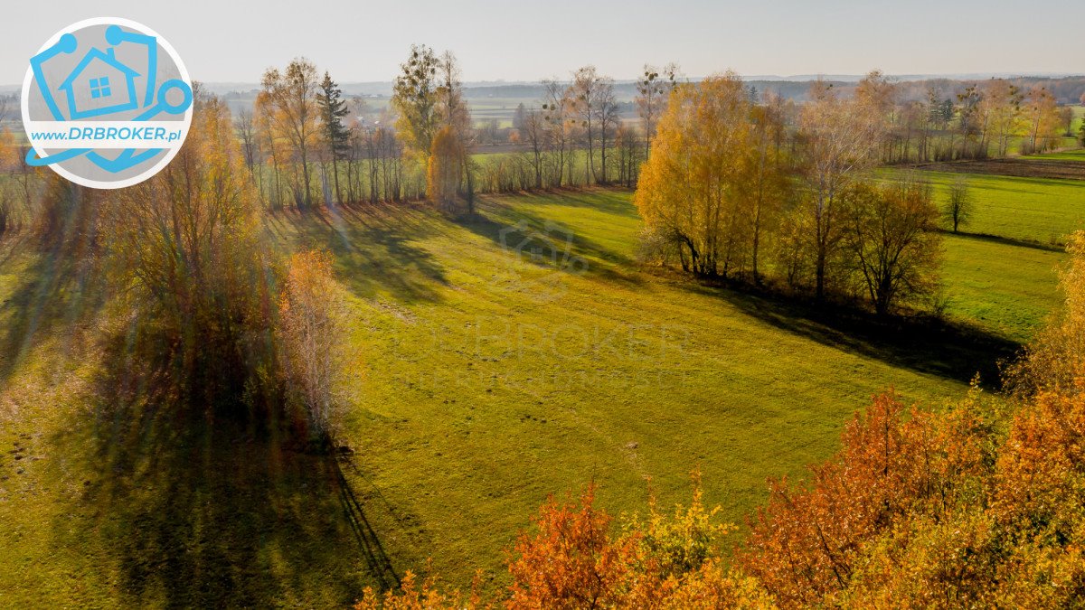 Działka rolna na sprzedaż Gniła  5 990m2 Foto 4