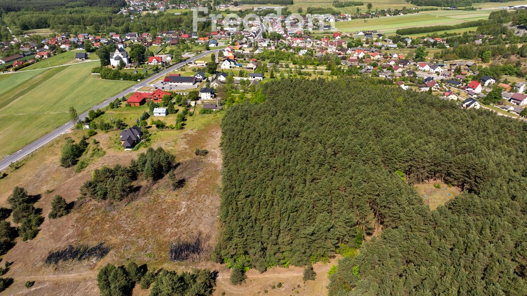 Działka budowlana na sprzedaż Krasocin  10 400m2 Foto 7