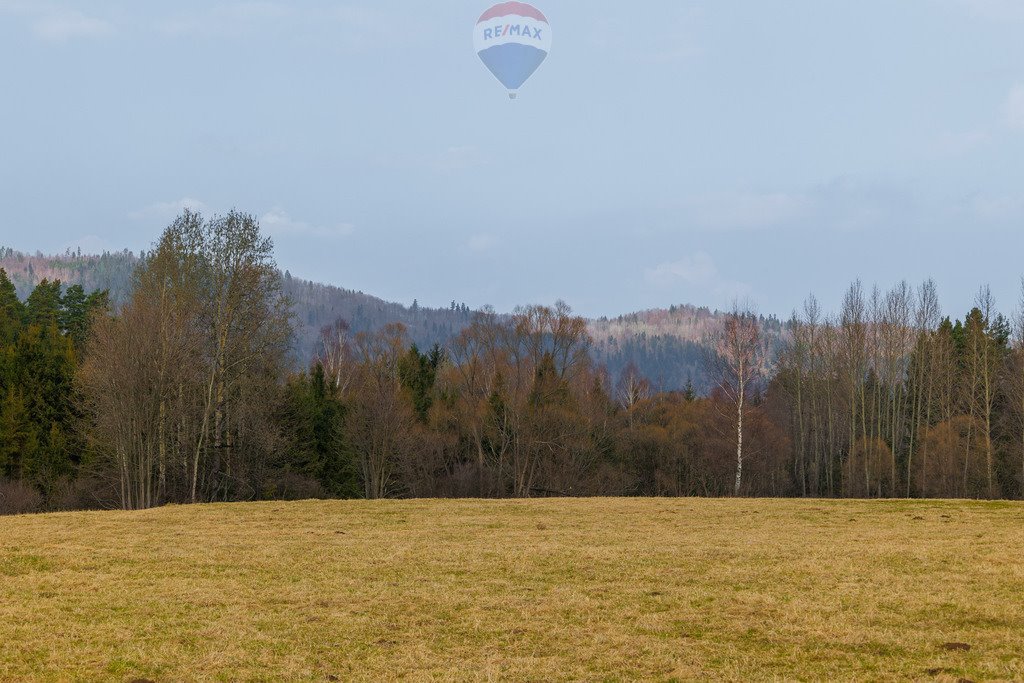 Działka rolna na sprzedaż Sopotnia Wielka  3 098m2 Foto 4