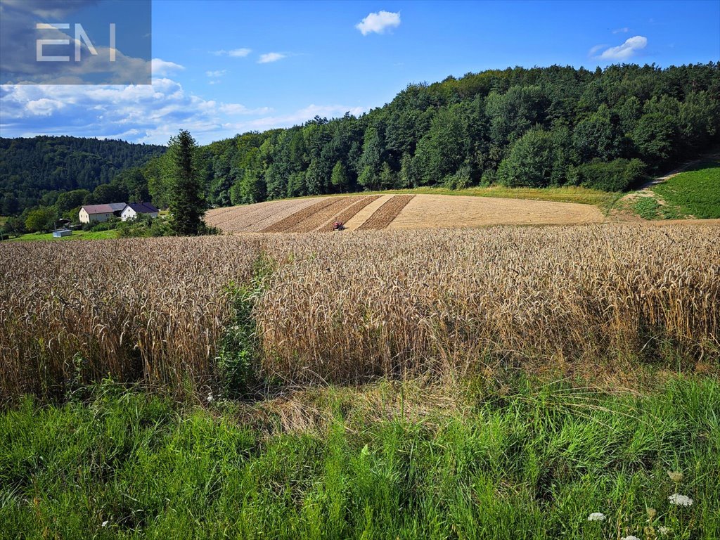 Działka budowlana na sprzedaż Krasna  5 300m2 Foto 1