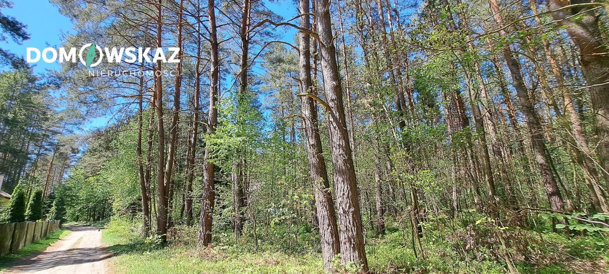 Działka 3 888 m² z mediami, MPZP, las, domy całoroczne Żarki-Letnisko, Wiejska  3 888m2 Foto 1