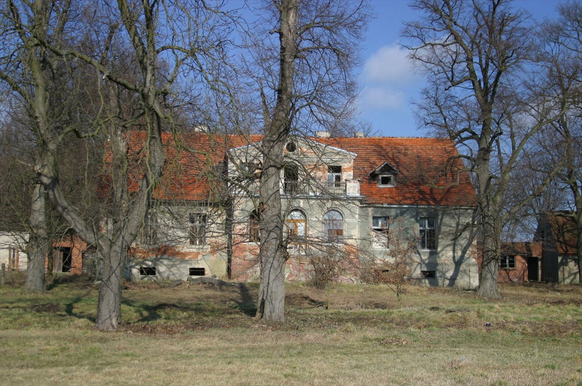 Lokal użytkowy na sprzedaż Wińsko  470 000m2 Foto 3