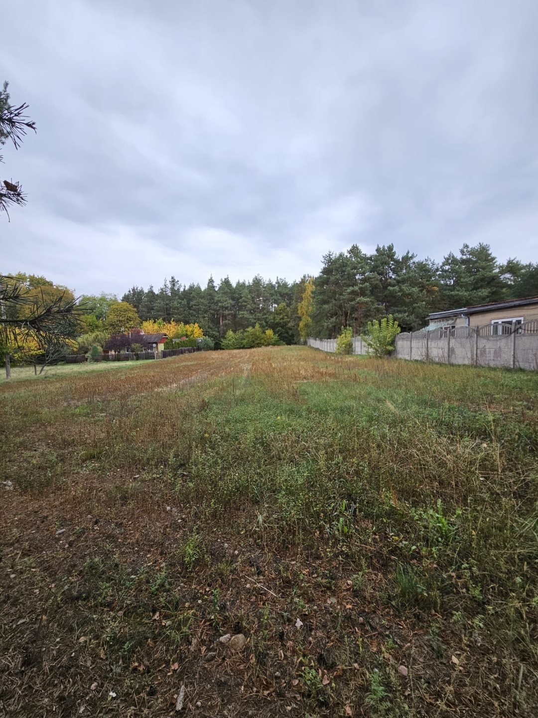 Działka inna na sprzedaż Tomaszów Mazowiecki  2 890m2 Foto 4