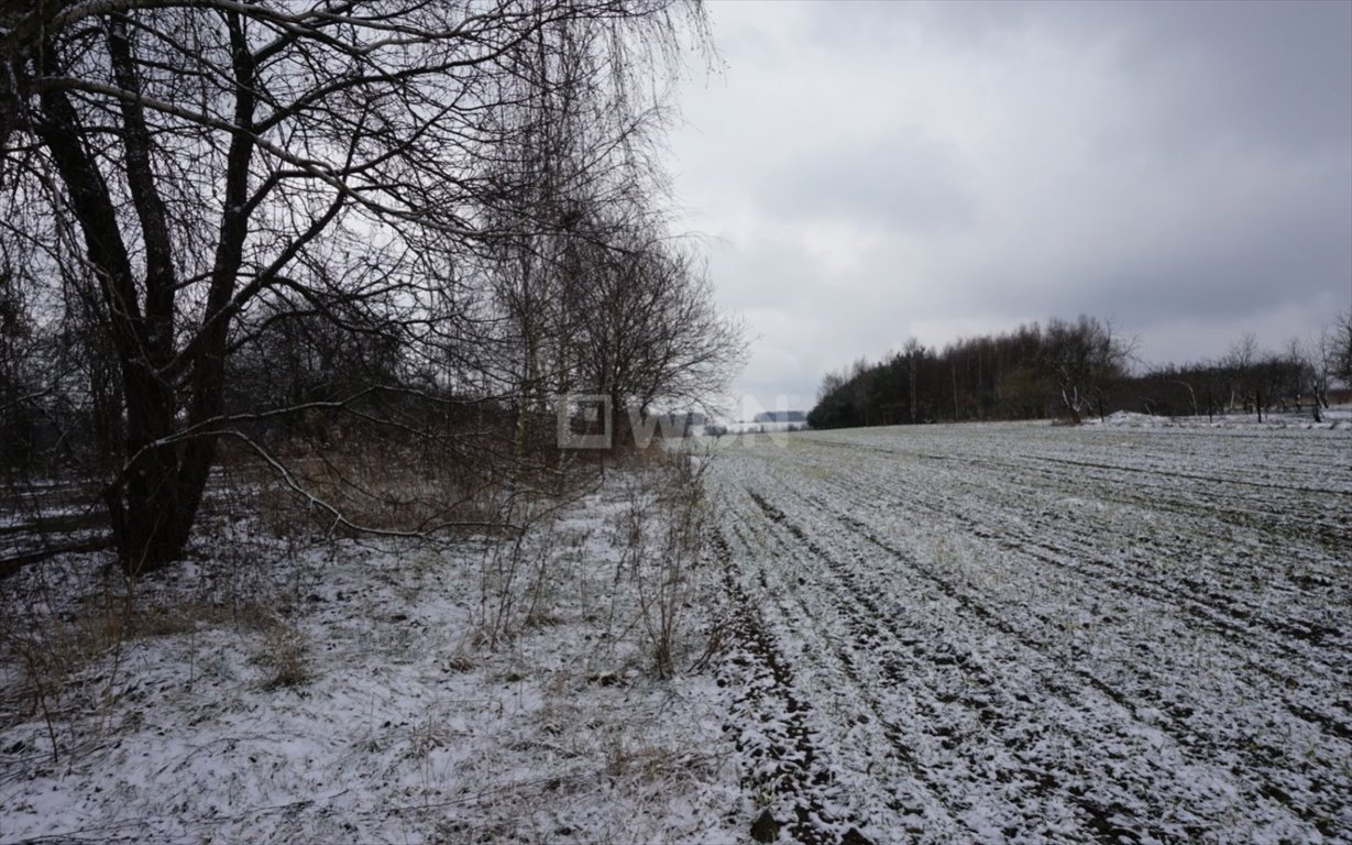 Działka budowlana na sprzedaż Rędziny, Mstowska  18 723m2 Foto 3