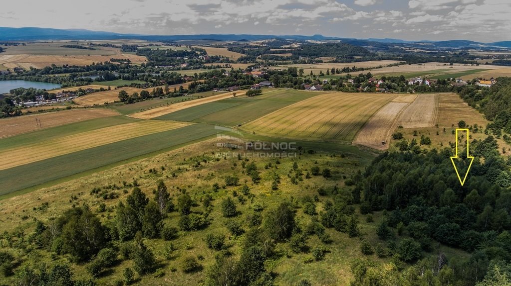 Działka rolna na sprzedaż Bierkowice  17 000m2 Foto 5