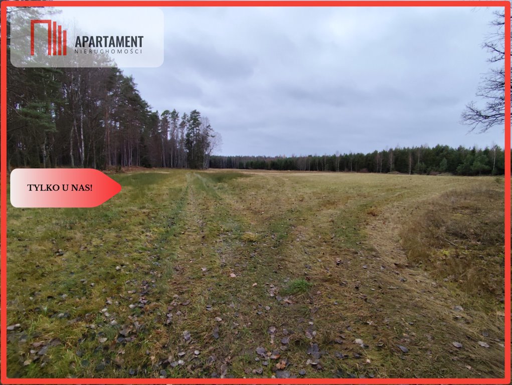 Działka gospodarstwo rolne na sprzedaż Międzybórz  23 500m2 Foto 1