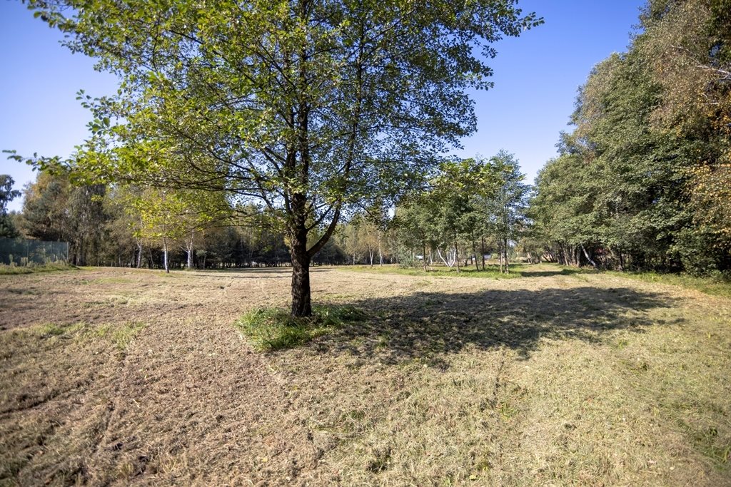 Działka budowlana na sprzedaż Krzywa  8 400m2 Foto 10