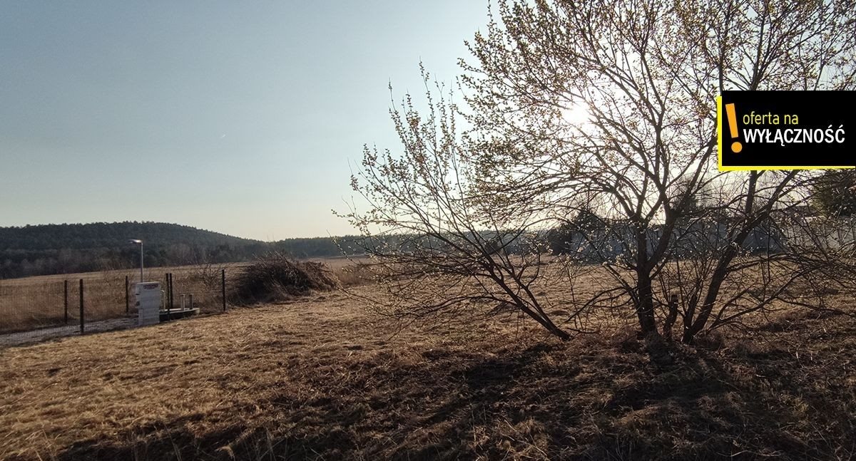 Działka budowlana na sprzedaż Dyminy, Folwark  1 003m2 Foto 5