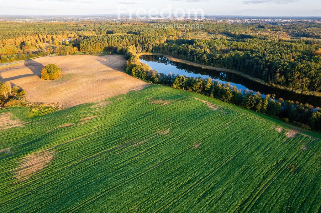 Działka budowlana na sprzedaż Iława  660 000m2 Foto 16