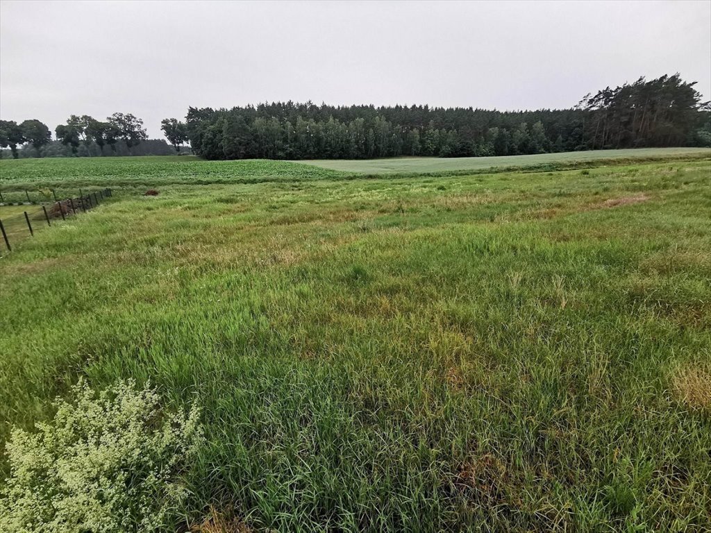 Działka budowlana na sprzedaż Międzybłocie, Międzybłocie  3 008m2 Foto 12