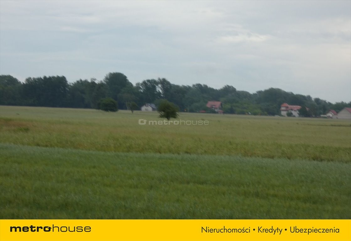 Działka inna na sprzedaż Nowa Mała Wieś  1 000m2 Foto 7