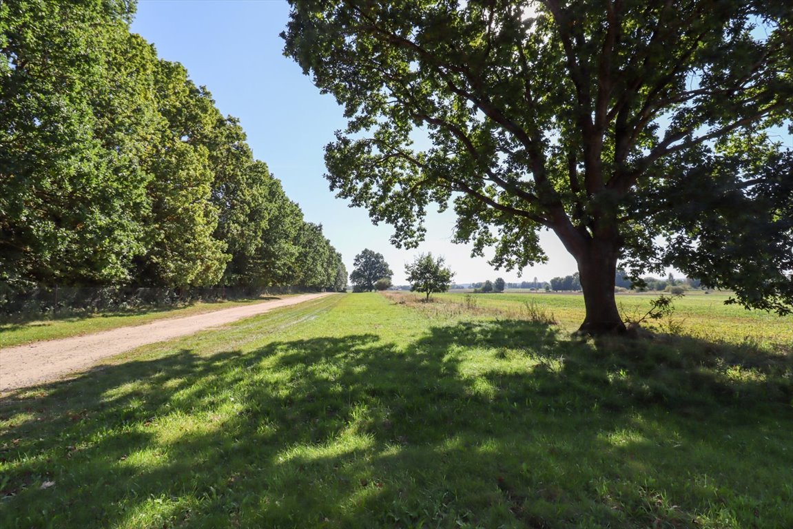 Działka budowlana na sprzedaż Łącko  20 900m2 Foto 7