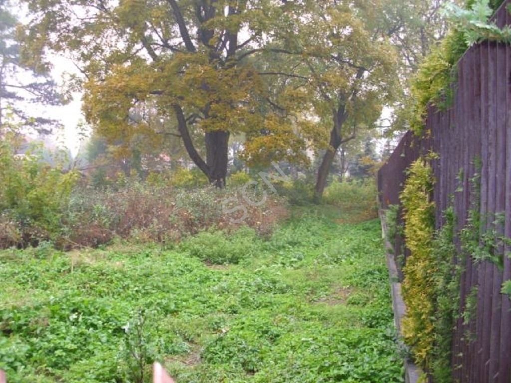 Działka budowlana na sprzedaż Warszawa, Wawer  3 500m2 Foto 4