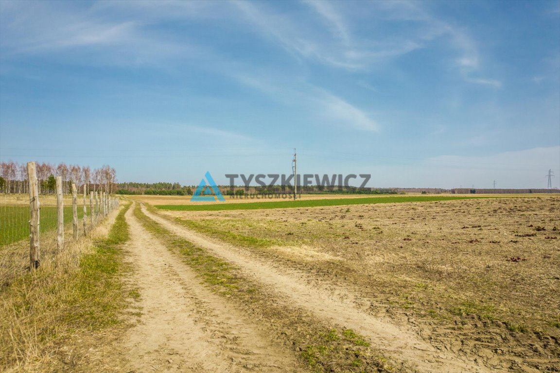Działka rolna na sprzedaż Stara Dąbrowa  60 000m2 Foto 12
