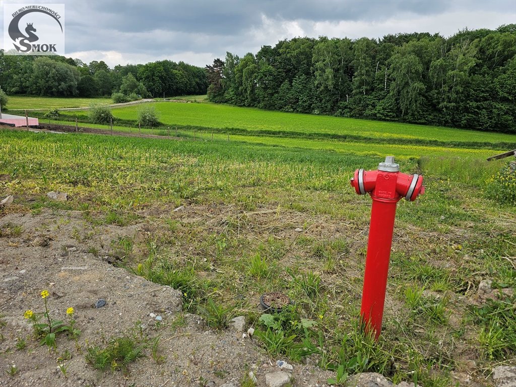 Działka budowlana na sprzedaż Goszyce  1 070m2 Foto 3