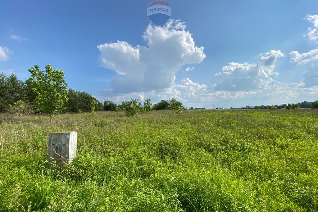 Działka budowlana na sprzedaż Wąsy-Kolonia  1 538m2 Foto 5