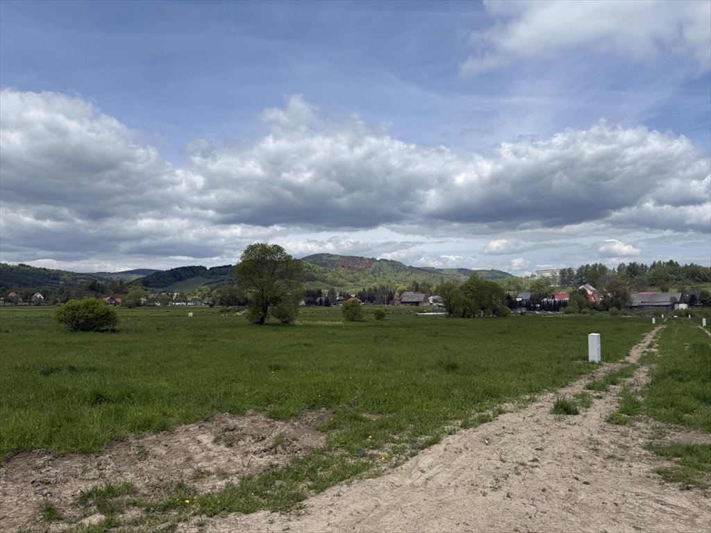 Działka budowlana 1368 m2 z prądem i planem kanalizacji Kamienna Góra, Karkonoska  1 368m2 Foto 1