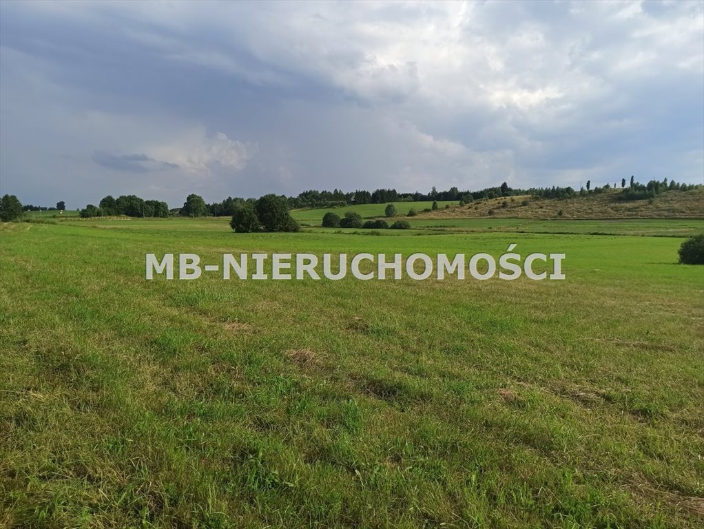 Działka rolna 2,45 ha z mediami i wjazdem asfaltowym polecam Różnowo  24 500m2 Foto 1