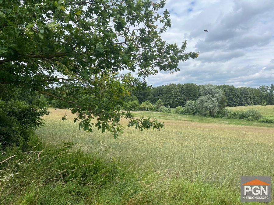 Działka rolna 7 300 m² w Ościęcinie (możliwość dokupienia) Ościęcin  7 300m2 Foto 1