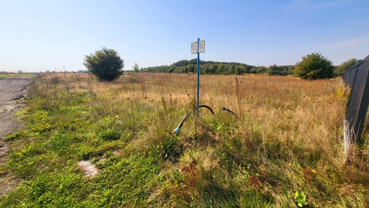 Działka budowlana na sprzedaż Charzyno  1 055m2 Foto 4