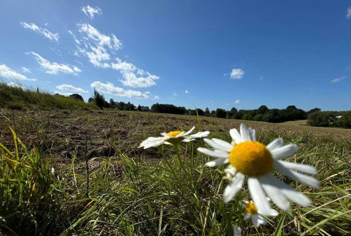 Działka budowlana na sprzedaż Gniewino  4 300m2 Foto 3